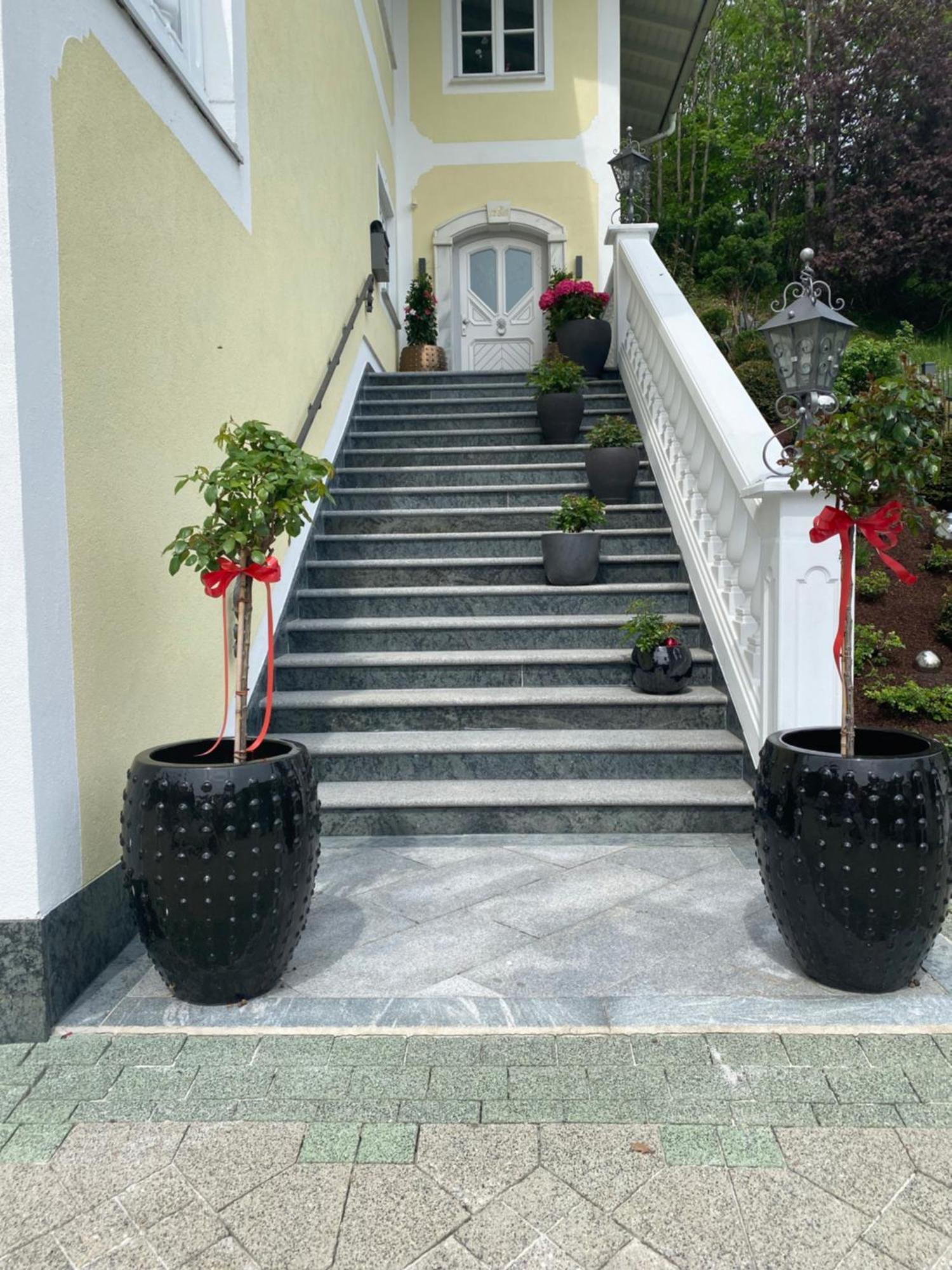 Appartement Bergblick I Faistenau Dış mekan fotoğraf